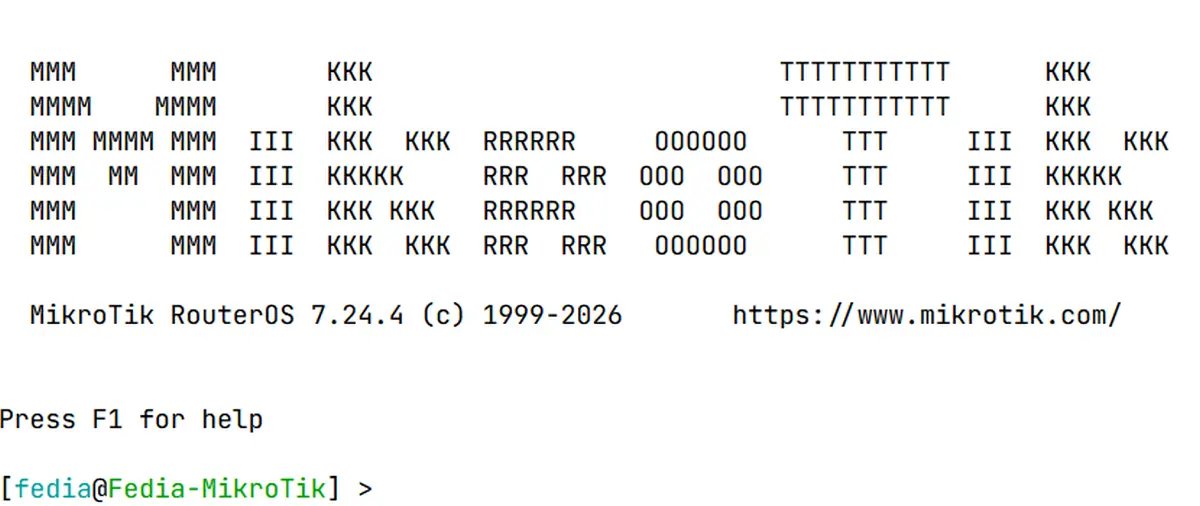 MikroTik Terminal CLI Interface